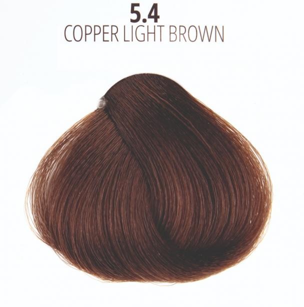 5974e98afb0748e82a575d9350f38386