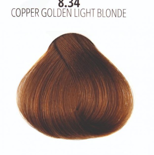 31e07cf1e2429e460a6271cb358c4887