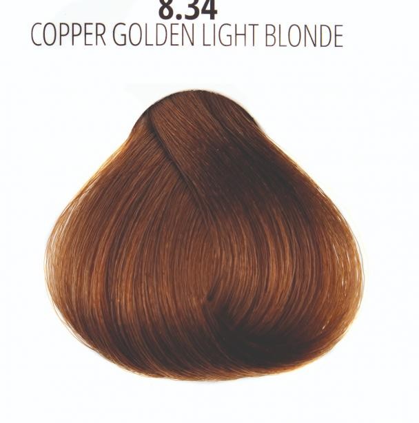 31e07cf1e2429e460a6271cb358c4887